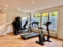 Helvetic physio