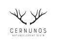 Cernunos : Naturellement divin